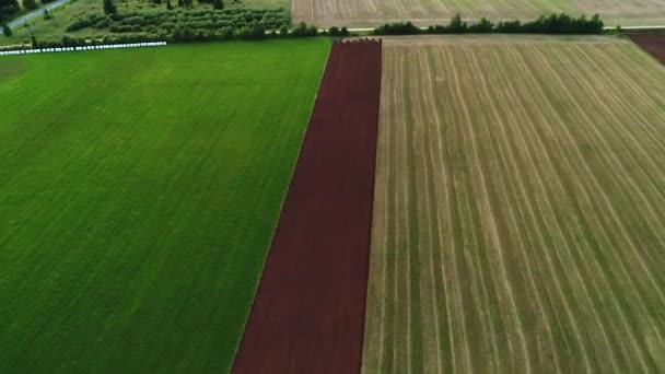 Agrar Feldpflügen Mit Vier Furchen Reversibler Pflug Luftaufnahme — Stockvideo
