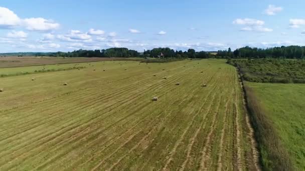Çiftçilik Tarlası Dört Çizgili Geri Dönüşümlü Saban Geniş Hava Manzaralı — Stok video