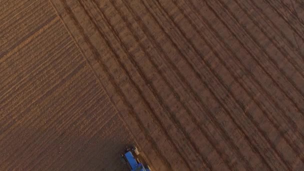 Campos Siembra Con Tractor Sembradora Campo Polvoriento Vista Aérea — Vídeo de stock