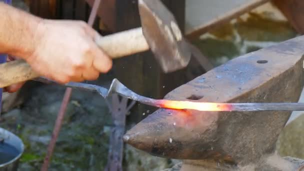Iron Forging While Hot Blacksmith Manufactures Wrought Iron Decorative Elements — Stock Video
