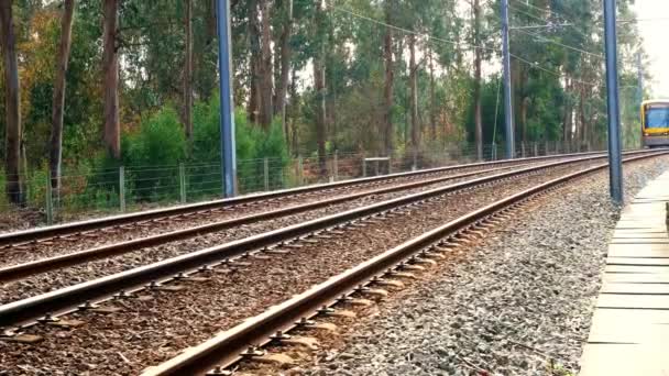 Metro Tren Con Grandes Colores Movimiento — Vídeo de stock