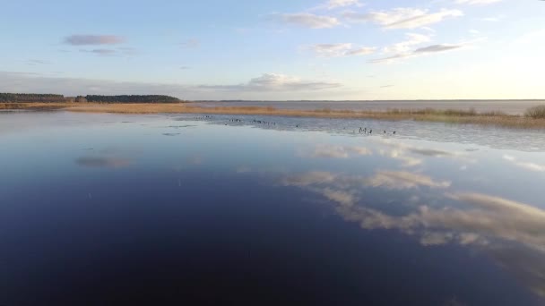 Calm Lake Burtnieks Little Ice High Water Level Spring Aerial — Stok video