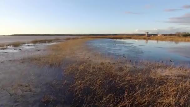 Calm Lake Burtnieks Little Ice High Water Level Spring Aerial — Stok video