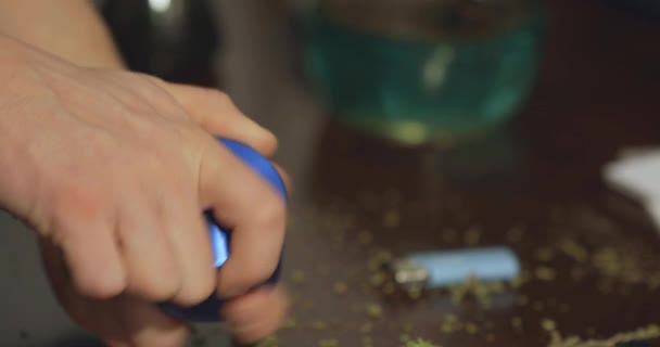 Händerna Vrider Blå Marijuana Kvarn Full Färsk Sativa Cannabis — Stockvideo