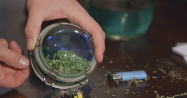 Händer Inspekterar Cannabisknopp Med Ett Förstoringsglas Narkotikapersonal Bakgrunden — Stockvideo