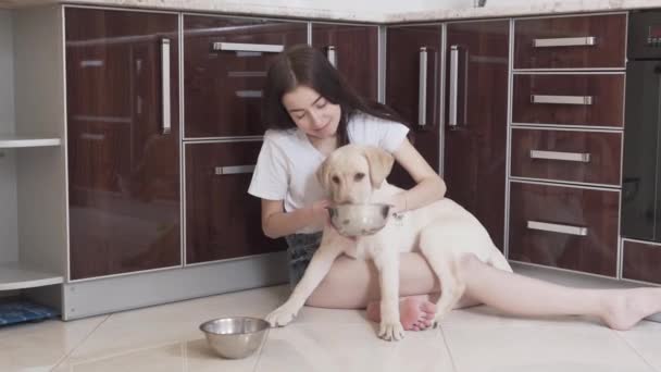 Bonita Morena Femenina Camiseta Blanca Alimentando Perro Mascota Desde Placa — Vídeo de stock