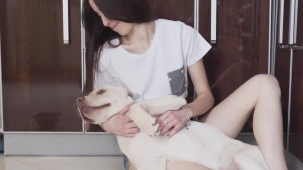 白いTシャツの女の子は ペット 犬を手に持ち メッセージ ストローク パッチ その腹を引っ掻いたり 犬と遊んでいます ペットとオーナーのコンセプト — ストック動画