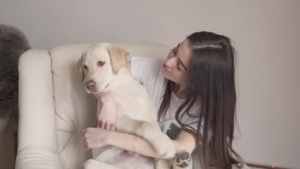 Pretty Girl Talks Her Pet Labrador Retriever She Holds Dog — стоковое видео