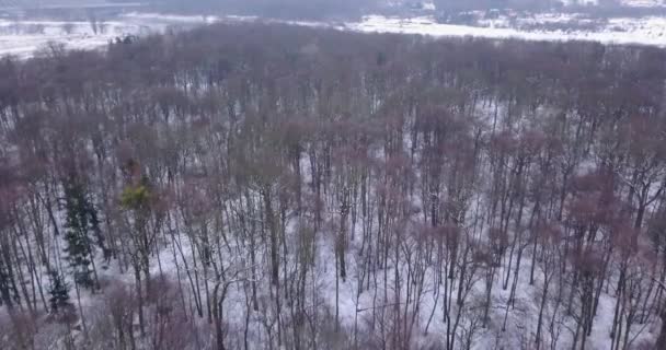 Aerial View Forest Flying Forward Straight Line Southern Poland — Αρχείο Βίντεο