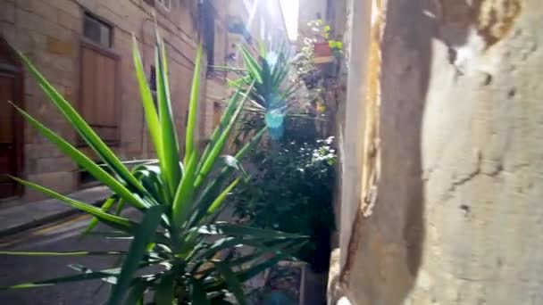 Τοποθέτηση Από Τοίχο Εργοστάσιο Στη Βαλέτα Της Μάλτας — Αρχείο Βίντεο