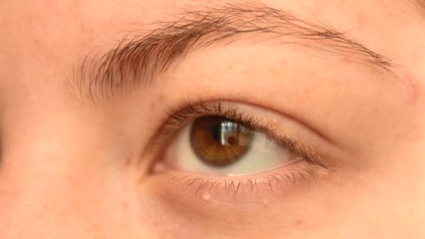 Close Young Redhead Female Light Brown Eye Freckles Looking Away — Wideo stockowe