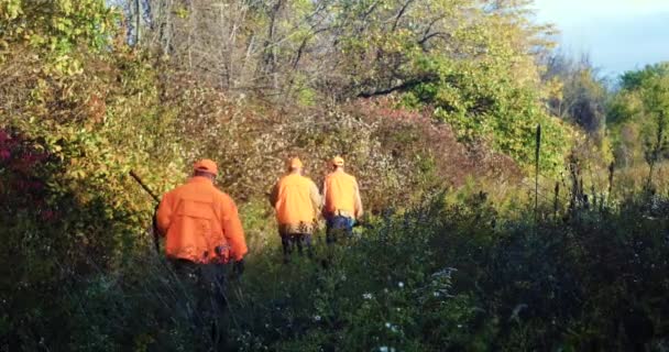 Men Carrying Rifles Enter Forest While Hunting Ring Necked Pheasants — 비디오