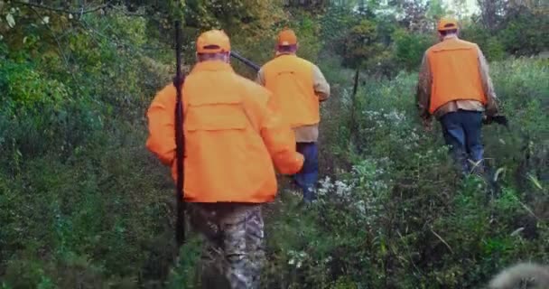 Three Men Blaze Orange Carrying Shotguns Walk Bush Hunting Dogs — Vídeos de Stock