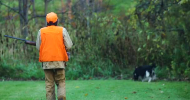 Man Blaze Orange Vest Walking His Rifle Springer Spaniel Hunting — Wideo stockowe