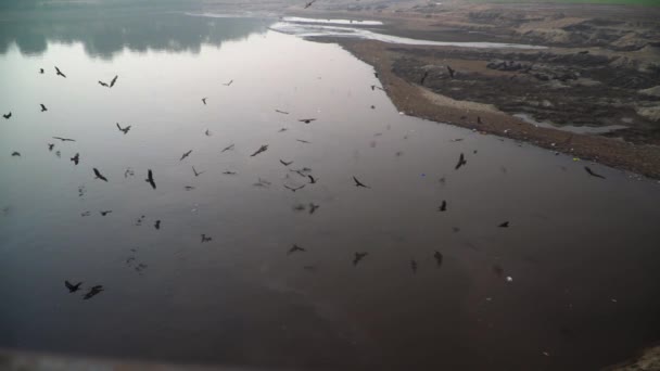 Чорні Повітряні Змії Літають Над Стоячою Водою Порожньої Річки Повільний — стокове відео
