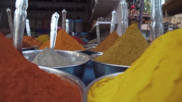 Close Overview Lots Vibrant Colourful Herb Spice Powders Outdoor Store — Stock Video