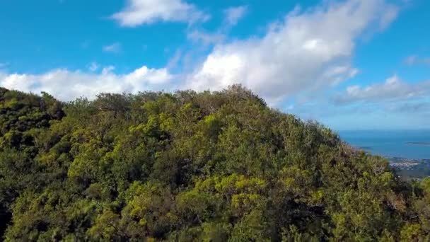 Drönaren Avslöjar Ett Skott Kaneohe Oahu Hawaii — Stockvideo