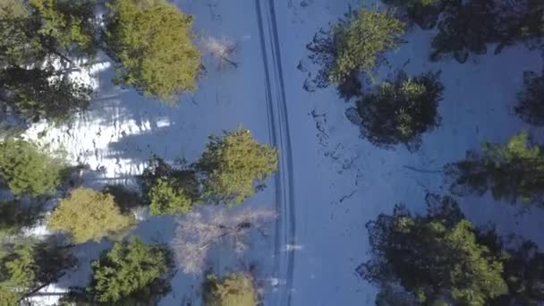 Overhead Aerial View Snowed Road Pines Mediterranean Forest Spain — Wideo stockowe