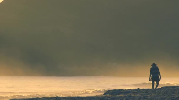 Man Morning Walk Sunrise Coromandel New Zealand — Stockvideo