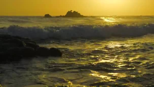 Waves Crashing Sunrise Mount Maunganui Beach New Zealand — Stockvideo