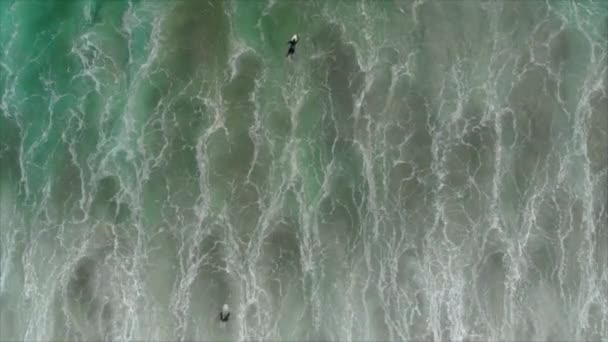 Aerial Slow Motion Surfers Waves Mount Maunganui New Zealand — Stockvideo