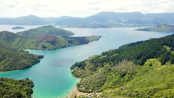 Drone View Queen Charlottes Sound New Zealand — Video Stock