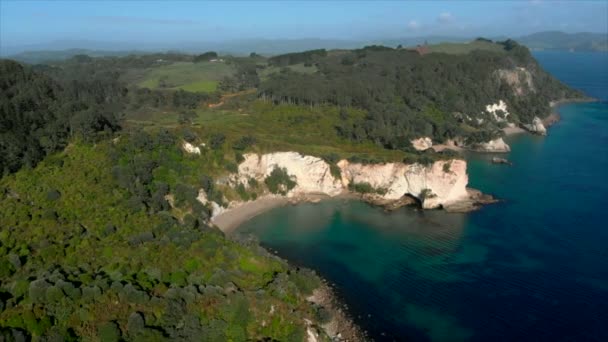 Aerial Mares Leg Coromandel New Zealand — Stock video