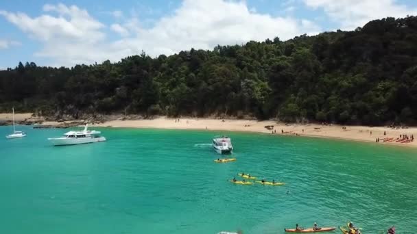 Drone View Split Apple Rock Abel Tasman National Park New — Stock video