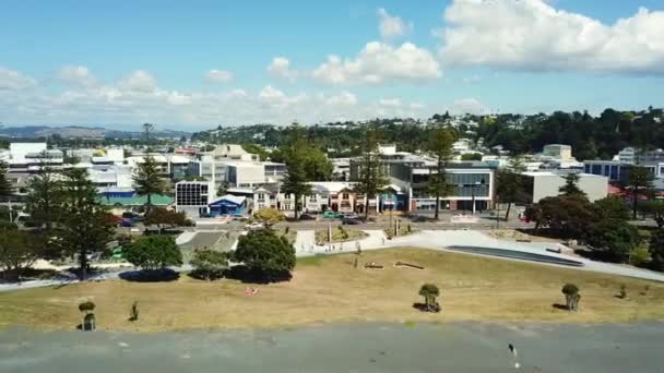 Drone View Napier Beach Boulevard New Zealand — ストック動画