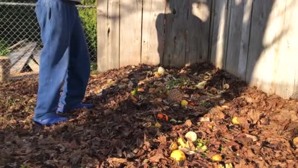 Unrecognizable Man Walking Backyard Compost Pile Throwing Kitchen Scraps Walking — Stock video