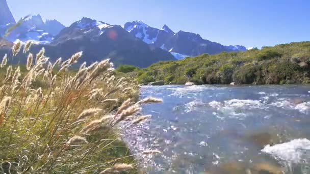 Река Течёт Национальном Парке Лос Гласиарес Аргентина Путешествие Вокруг Фитца — стоковое видео
