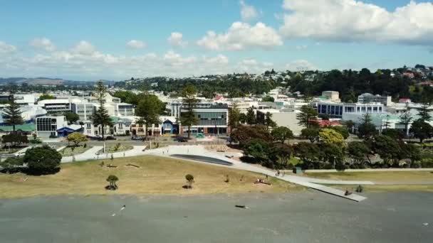 Drone View Napier Beach Boulevard New Zealand Seagull Almost Hits — Stockvideo