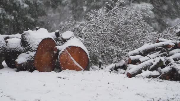 Slow Motion Snow Fall Blanketing Cut Wood Pile Logs Branches — Stok video
