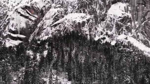 Aerial Pan Left Frozen Cliff Drop Pine Forested Valley Blanketed — Αρχείο Βίντεο