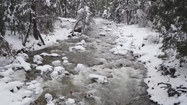 Медленное Движение Откатный Снимок Вудда Замерзающей Реки Мерсед Йосемити Мчащегося — стоковое видео