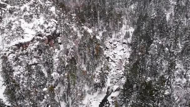 Aerial Flyover Top Footage Snow Covered Frozen River Gorge Forested — Stock Video