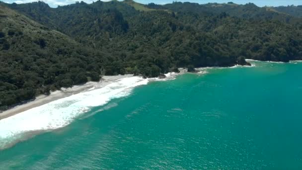 Orokawa Bay New Zealand Drone Pan Beach — Wideo stockowe