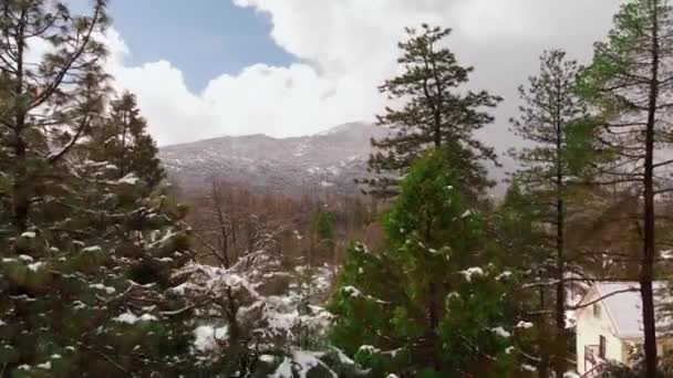 Aerial Fly Tree Tops Revealing Snow Covered Neighborhood Mountain Landscape — Vídeo de stock