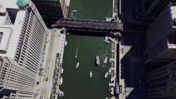 Cinematic Aerial Footage Chicago Illinois Usa — Stockvideo