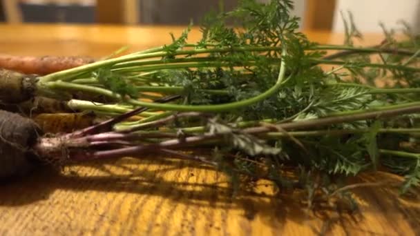 Home Grown Carrots Just Picked Garden Close Shot Side — Vídeo de stock