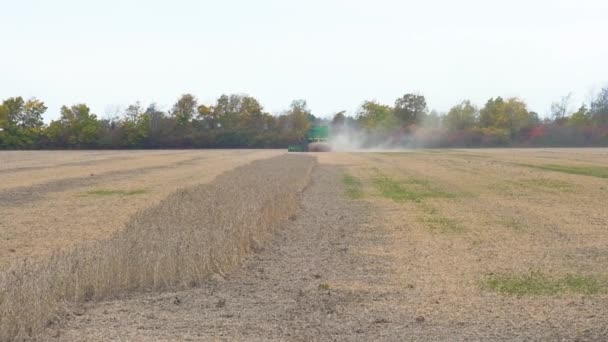 远距离收获大豆的割草机的广角镜头 — 图库视频影像