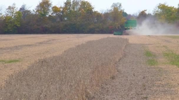 カナダオンタリオ州ペリー島で大豆を収穫する収穫機の裏側 — ストック動画