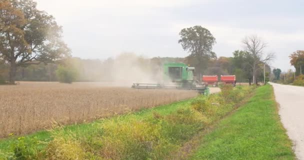 Landbruger Høst Sojabønner Ved Hjælp Industriel Mejetærsker – Stock-video