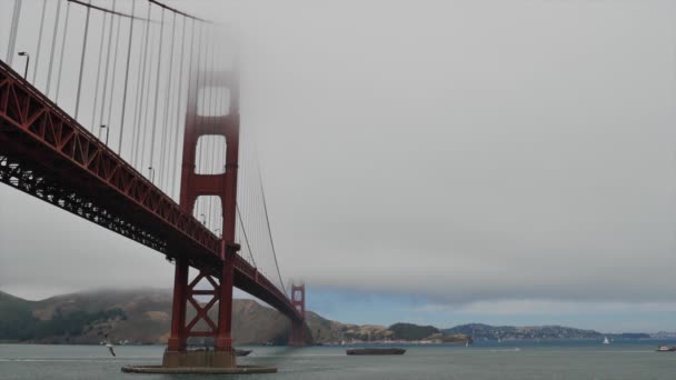 Barge Passing Golden Gate Bridge — Video