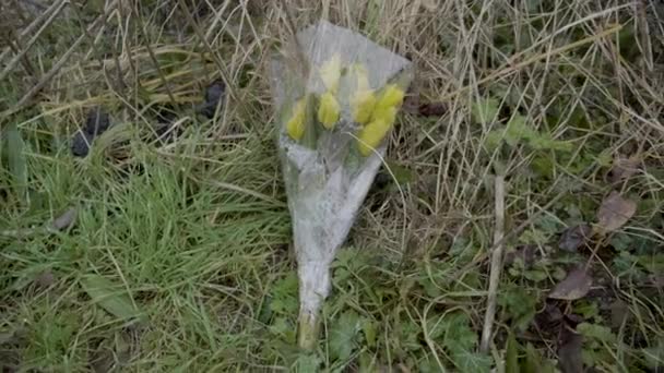 Yellow Flowers Laid Remember Loved One — Stock video