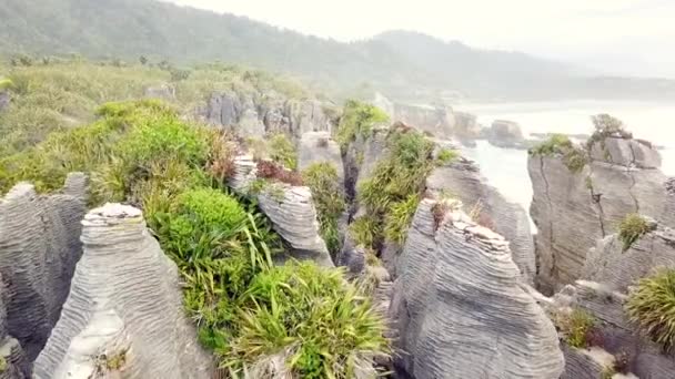 Drone View Pancake Rocks Dolomite Point Punakaiki New Zealand — Vídeo de Stock