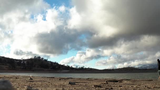 Black Man Walking River Bank — Stock Video