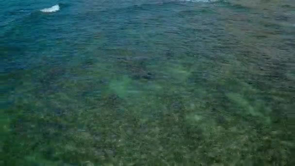 Drone Footage Small Wave Breaking Shore Waikiki Beach Island Oahu — ストック動画