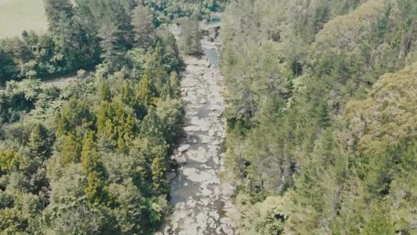 Aerial Mangakarengorengo River Leading Mclarens Falls Tauranga New Zealand — Stock Video