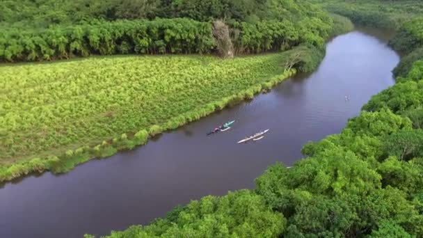 Vista Aérea Kayaks Río Hawai — Vídeo de stock